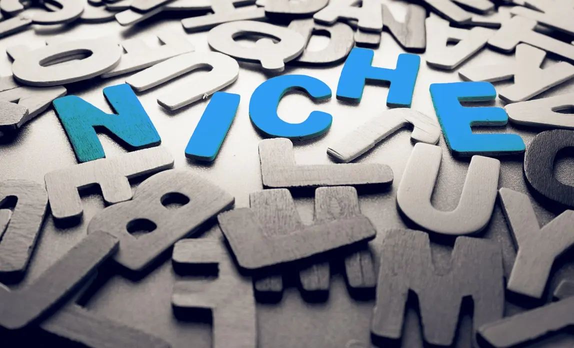 What is a Niche Marketing Strategy? Affiliate Marketing 102