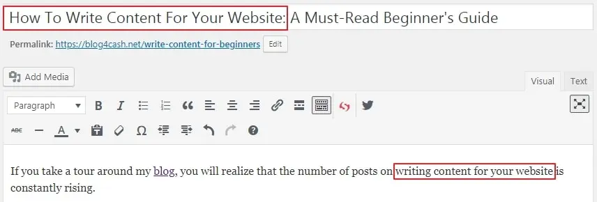 Focus Keyword in the first paragraph