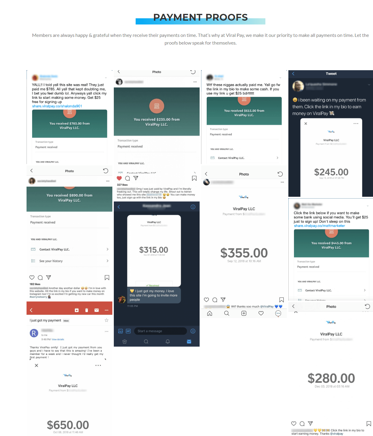 Viral Pay Proof of Payments