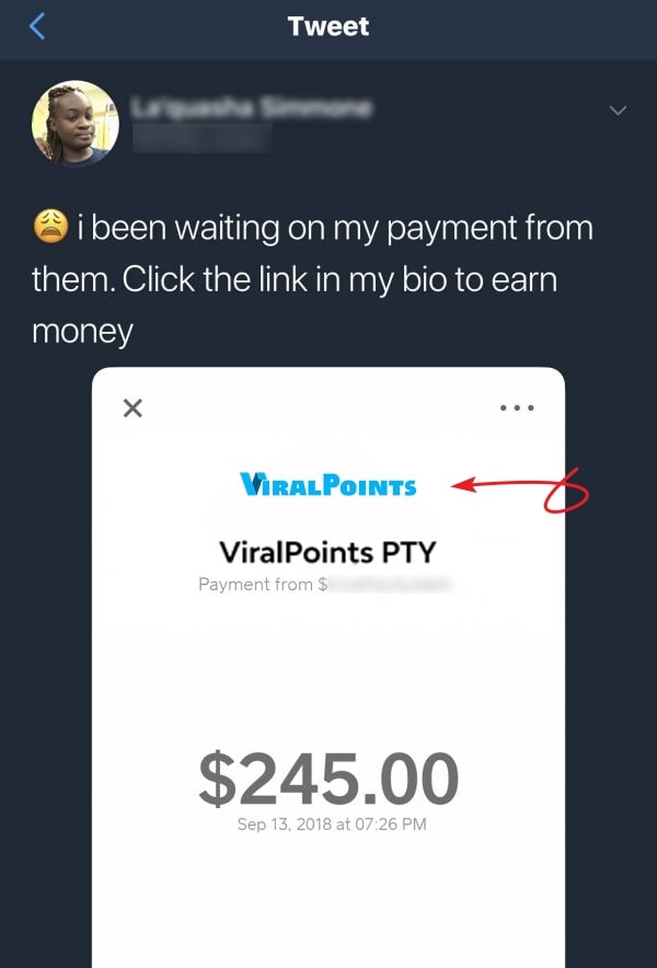Viral-Points-Fake-Payment-Proof-5