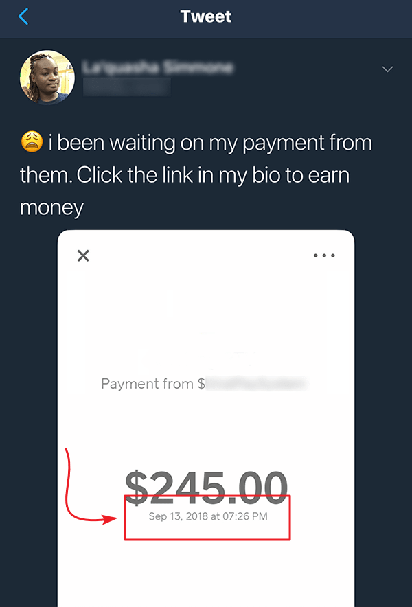 InfluencerCash.co Fake Payment Proof 1