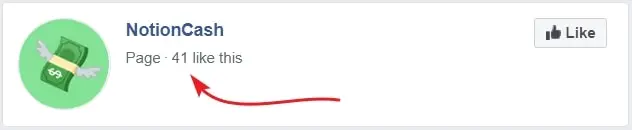 Notion Cash Facebook Followers