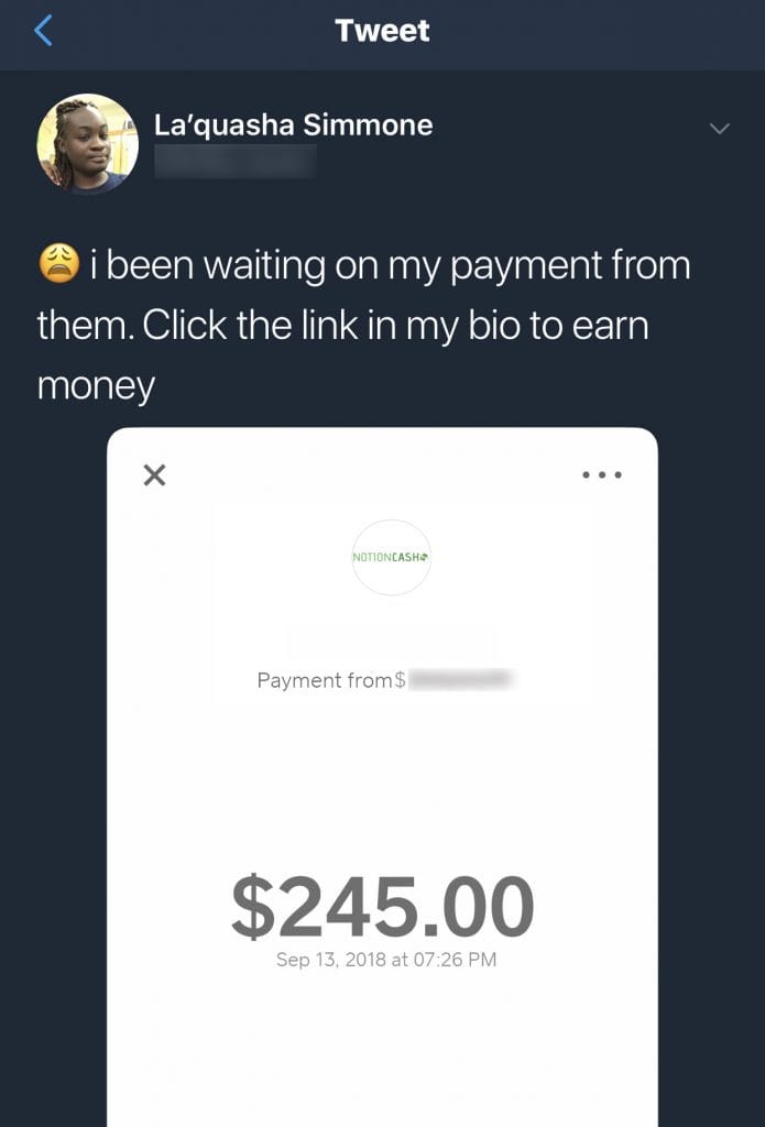 Notion Cash Fake Payment Proof 2