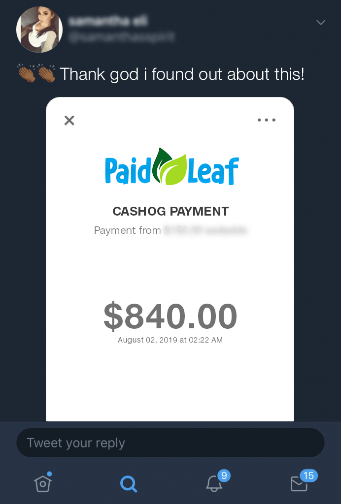 PaidLeaf Fake Payment Proof 2