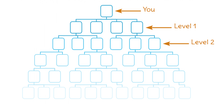 Unilevel Compensation Plan