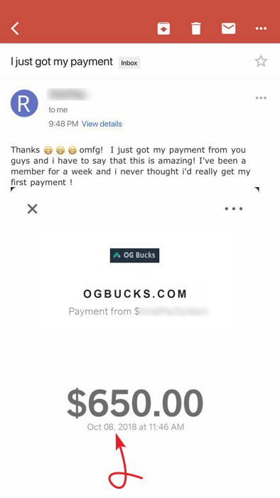 OGBucks.com Fake Payment Proof 3