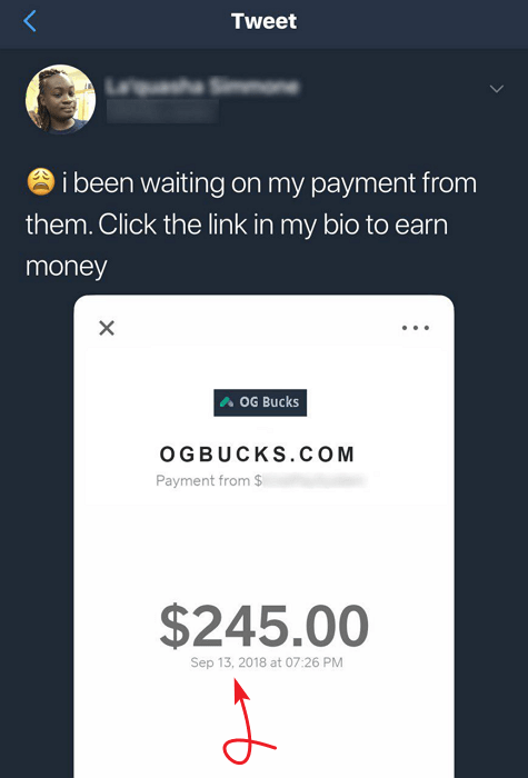 OGBucks.com Fake Payment Proof 4