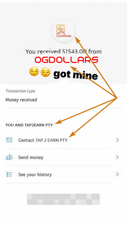 OgDollars Fake Payment Proof