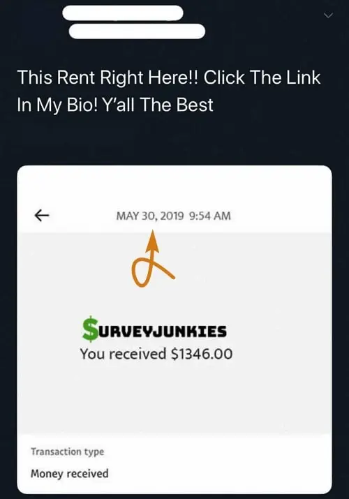 SurveyJunkies.co Fake Payment Proof 1