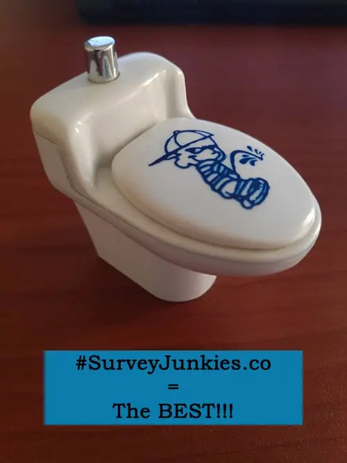 SurveyJunkies.co Funny Reward