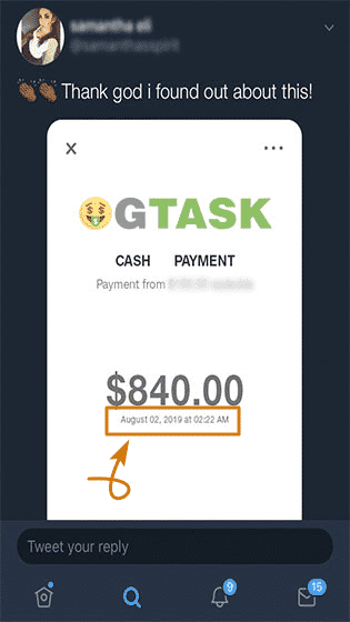 OGTask.com Fake Payment Proof 2