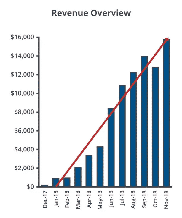 The Authority Site System Case Study Website Revenue