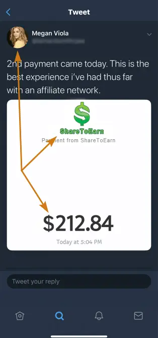 ShareToEarn.co Fake Payment Proof