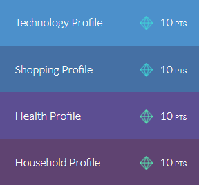 Survey Junkie 25 Additional Questionnaire