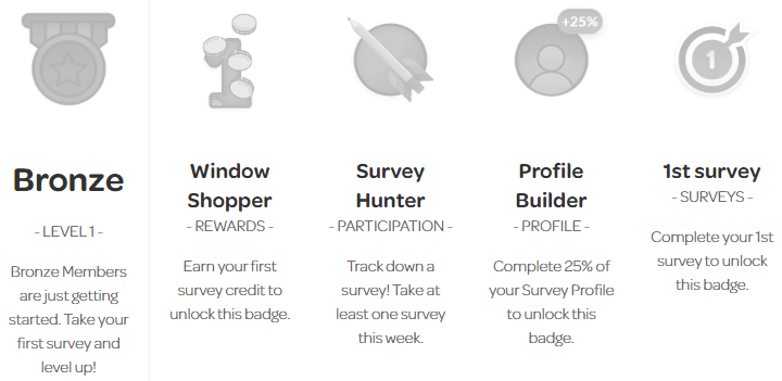 ValuedOpinions Silver Badge Requirements