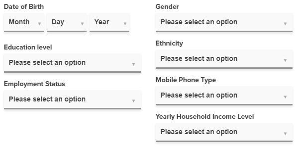 PrizeRebel Demographic Profile Survey Questions