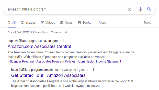Amazon Affiliate Program Google Search Example