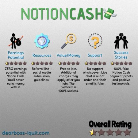 Notion Cash Review Featured Image